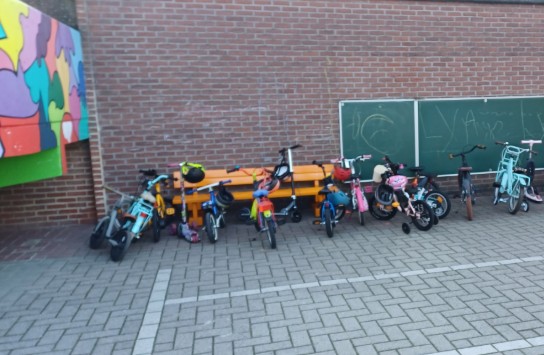 (vergroot foto)