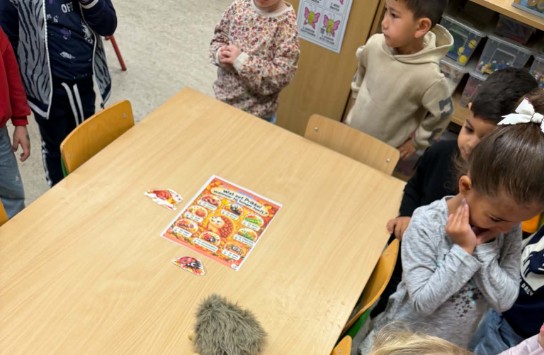  (vergroot foto)