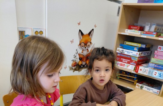  (vergroot foto)