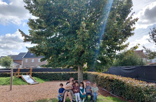 (vergroot foto)