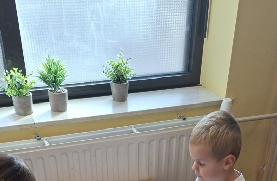  (vergroot foto)