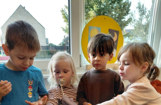  (vergroot foto)