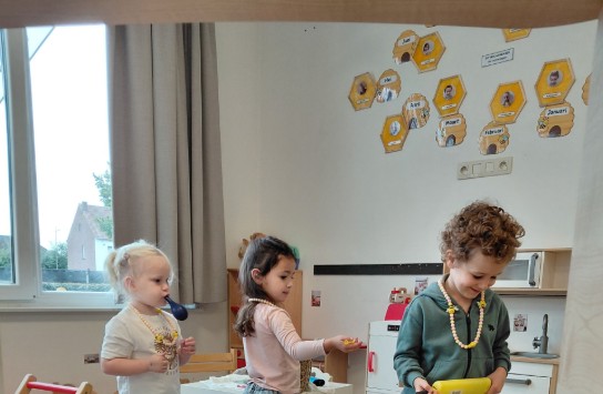  (vergroot foto)