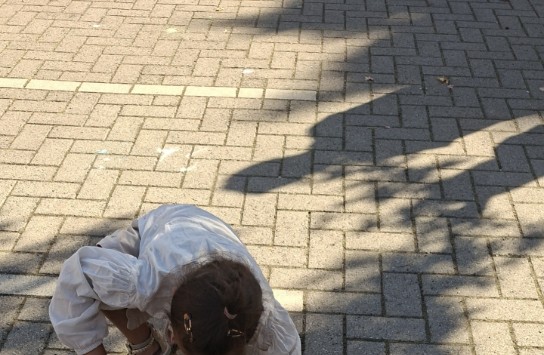  (vergroot foto)