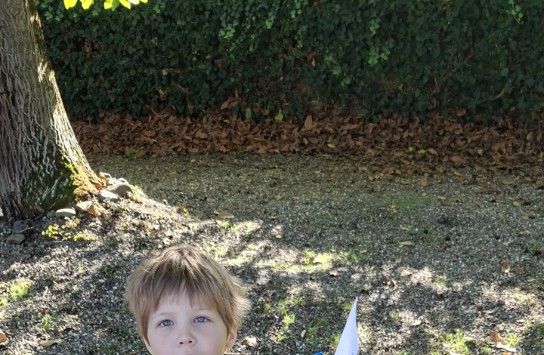  (vergroot foto)