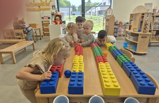  (vergroot foto)