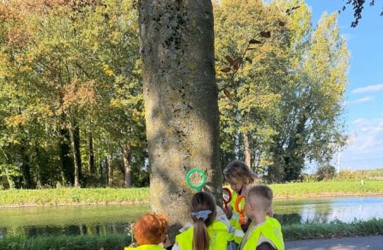  (vergroot foto)