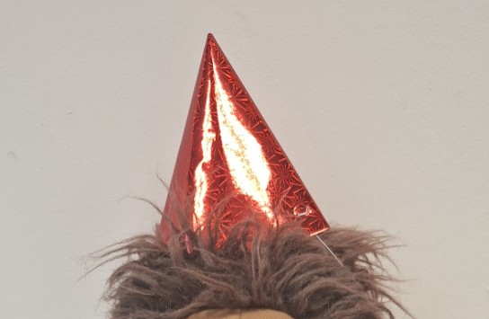  (vergroot foto)