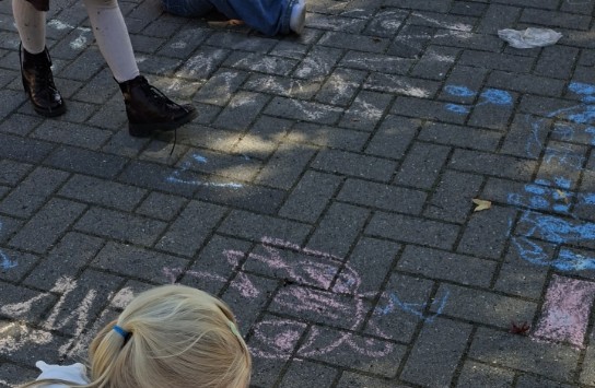  (vergroot foto)