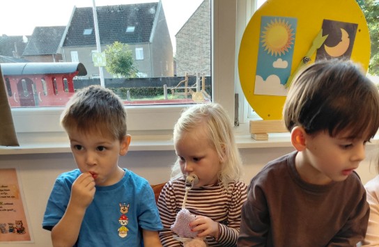  (vergroot foto)