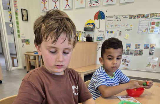  (vergroot foto)