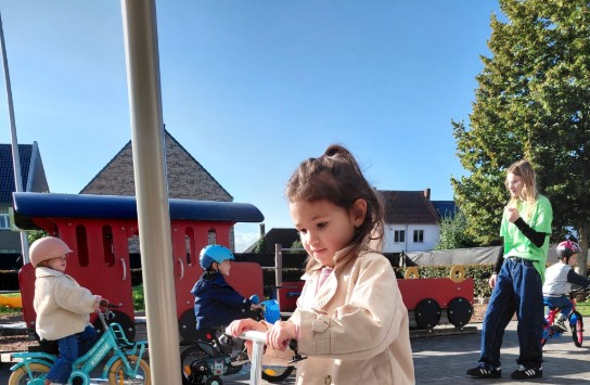 (vergroot foto)