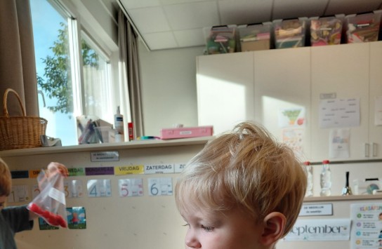  (vergroot foto)