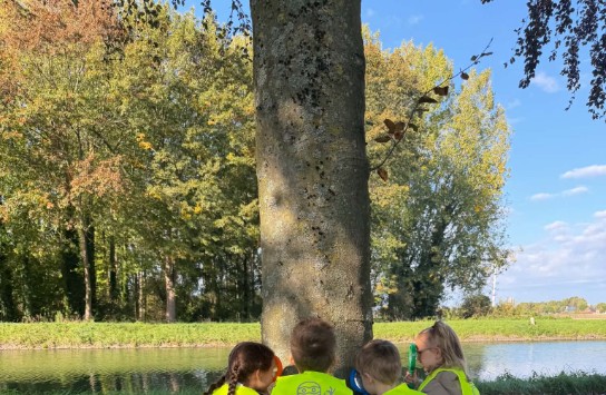  (vergroot foto)