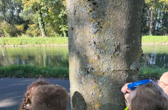  (vergroot foto)