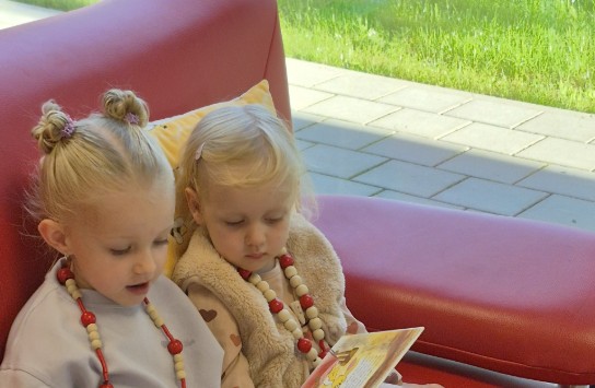  (vergroot foto)