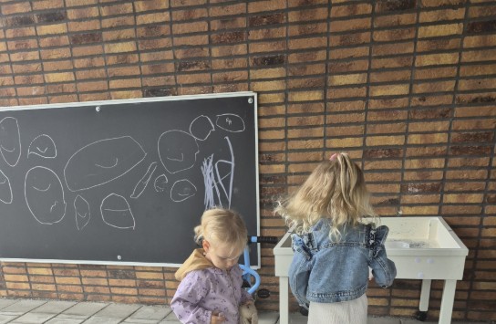  (vergroot foto)