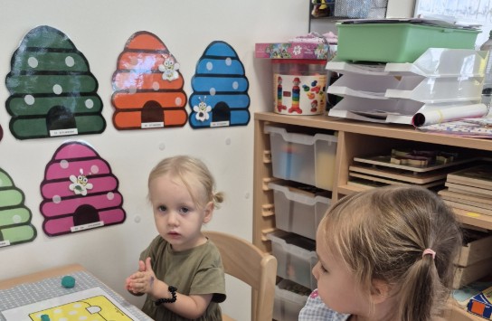  (vergroot foto)