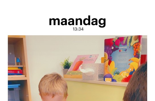  (vergroot foto)