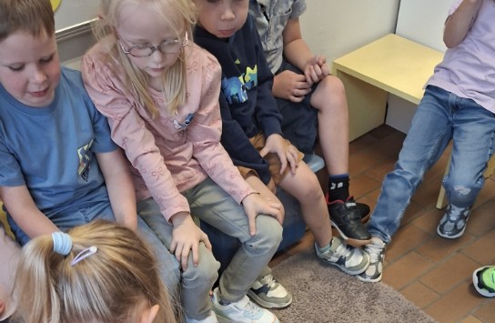  (vergroot foto)