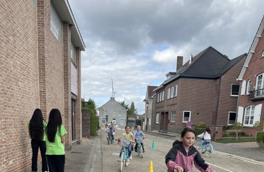 (vergroot foto)