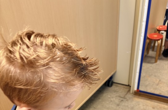  (vergroot foto)