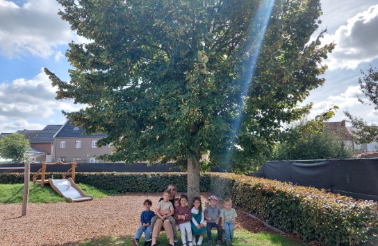  (vergroot foto)