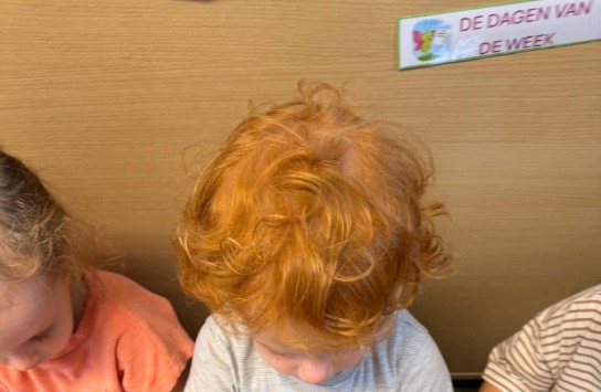  (vergroot foto)