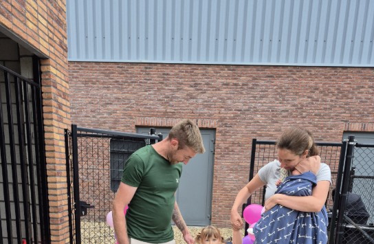  (vergroot foto)