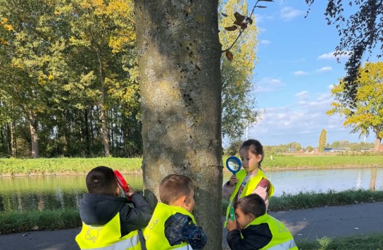  (vergroot foto)