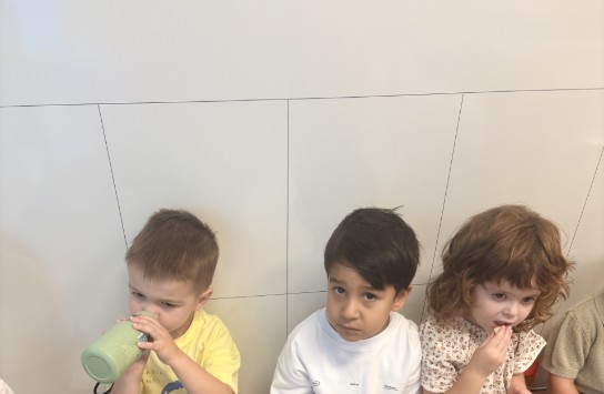  (vergroot foto)