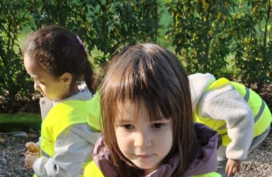  (vergroot foto)