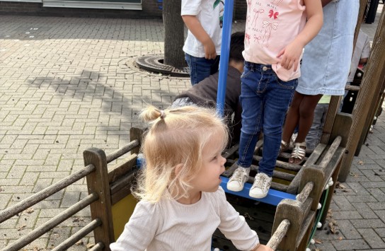  (vergroot foto)
