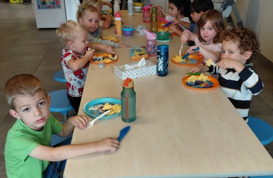  (vergroot foto)