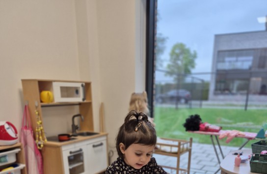  (vergroot foto)