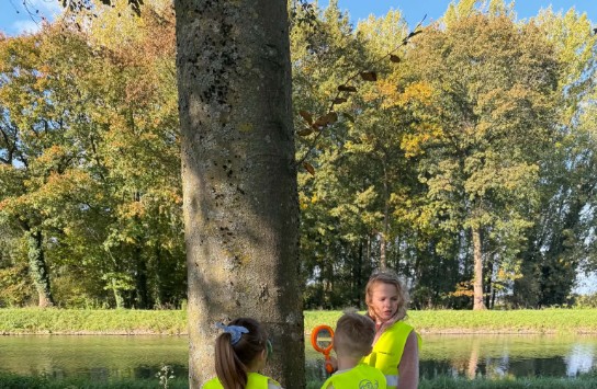  (vergroot foto)