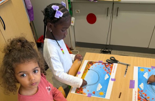  (vergroot foto)