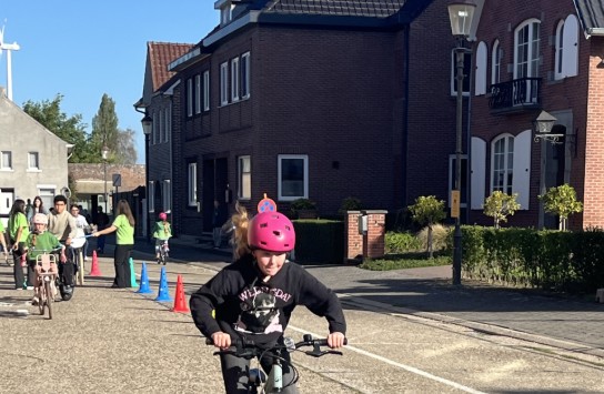  (vergroot foto)